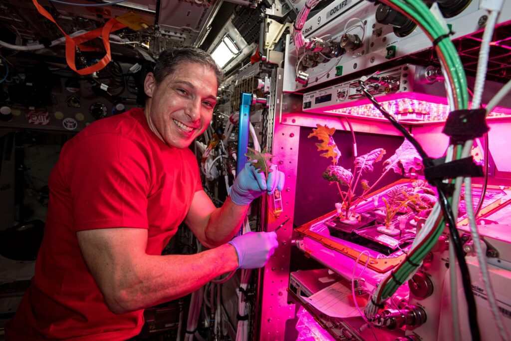 Astronaut Mike Hopkins experimentuje s pěstováním rostlin ve vesmíru.