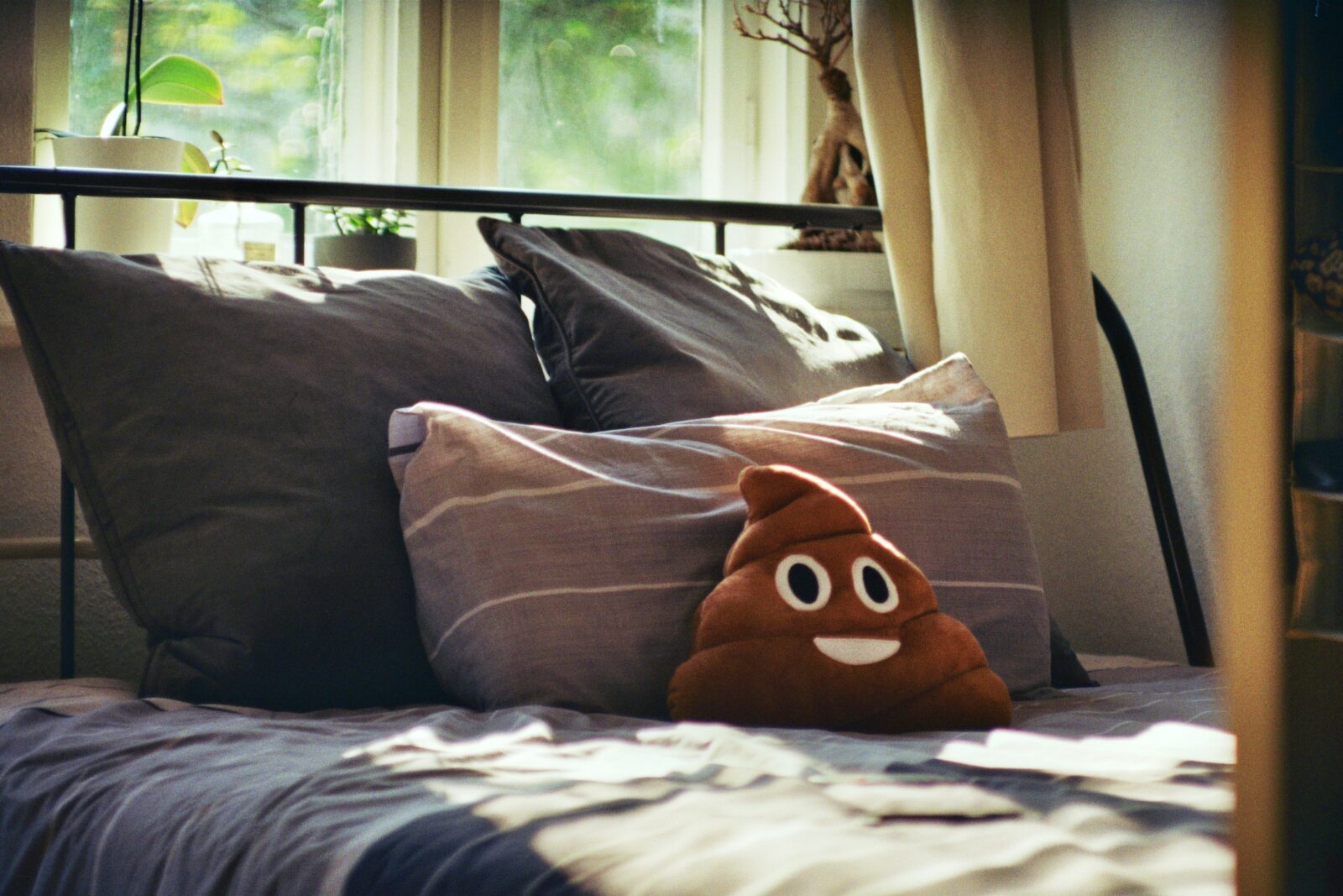 Poop emoji