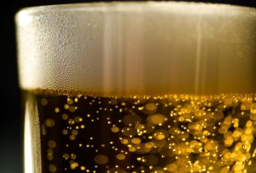pivo