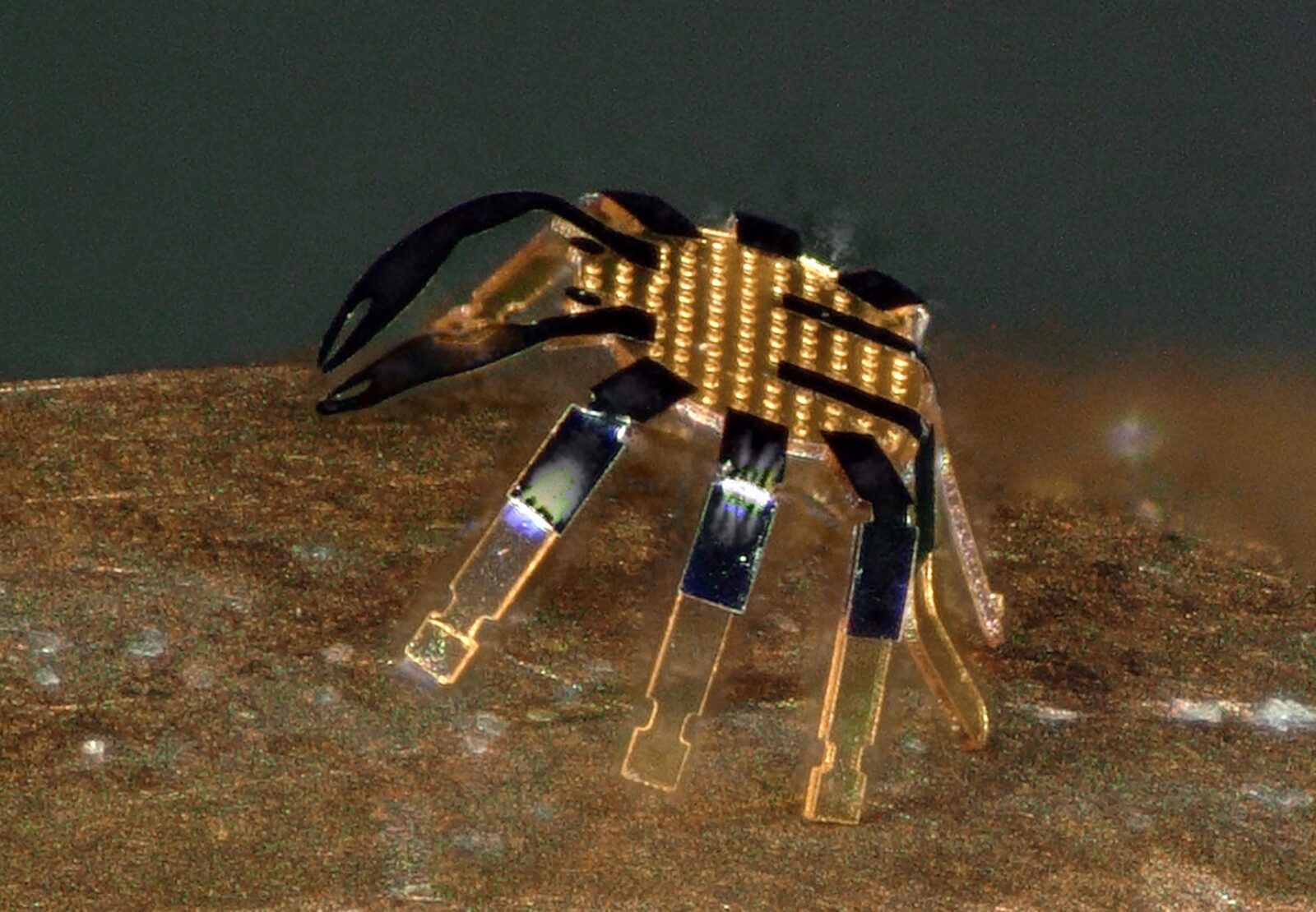 Mikrorobot