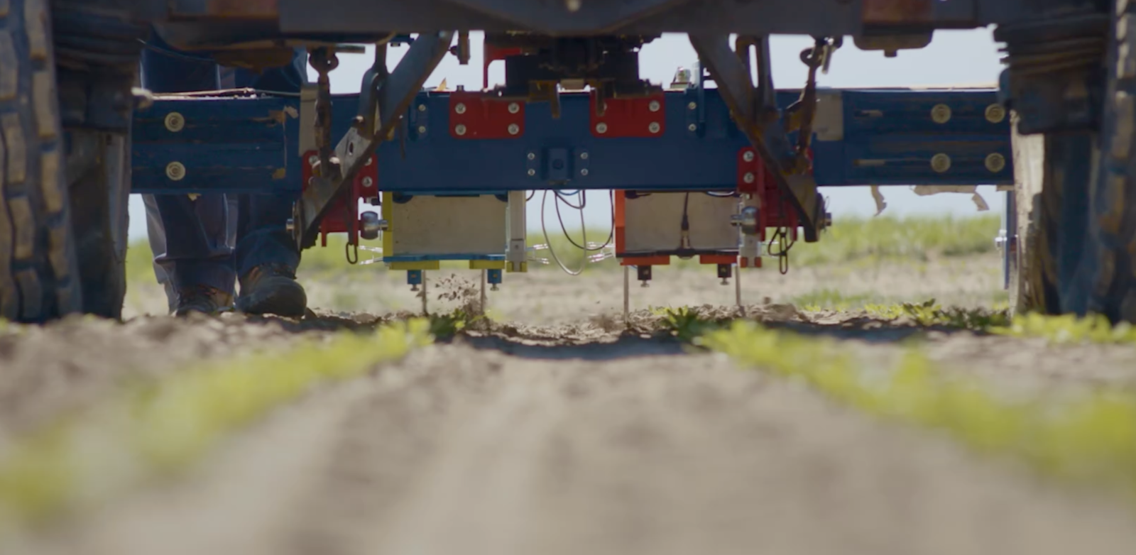 pohled na plečku od společnosti Ullmanna