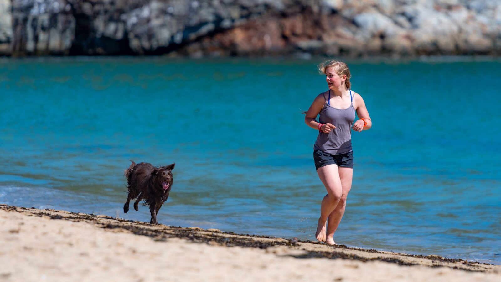 Happy Dog Trek
