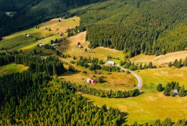 Čeští vědci objevili gen sucha a díky tomu vypěstují odolnější dřeviny.